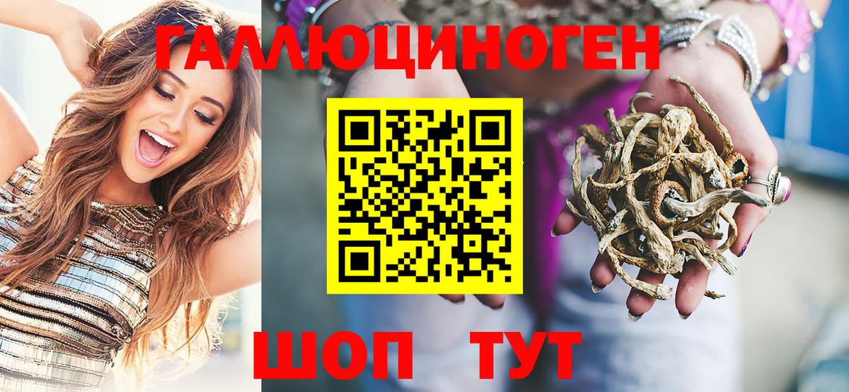 Всеволожск  Псилоцибиновые грибы GOLDEN TEACHER  Вход с VPN  цены наркотик  Галлюциногенные грибы Psilocybine cubensis 